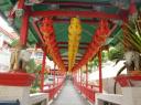 DSC02252-550