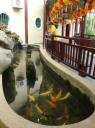 DSC02253-550