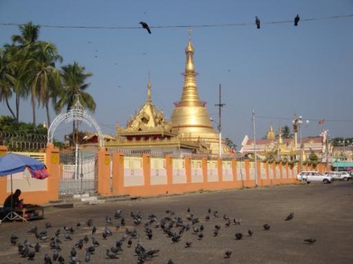 DSC02459_pagoda-550