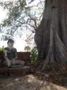 DSC02578_Inwa-550