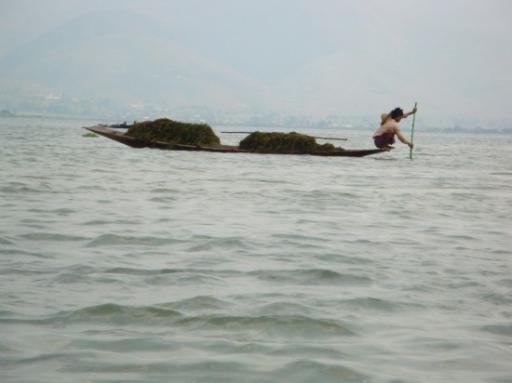 DSC02862_Inle Lake-550