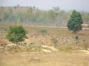 DSC03067_Plain of Jars-550