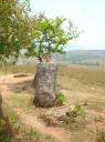 DSC03097_Plain of Jars-550