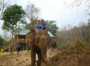 DSC03235_Wandelling-550