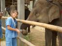 DSC03257_Eten-550