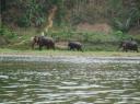 DSC03276_Baby-550