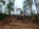 DSC03284_Ochtendbad-550