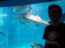 DSC04679_Aquarium osaka-550