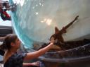 DSC04707_Aquarium osaka-550
