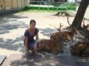 DSC04708_Hertjes-550