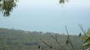 DSC04917_Magnetic Island-550