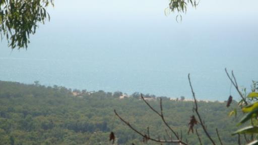 DSC04917_Magnetic Island-550