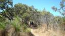 DSC04922_Magnetic Island-550