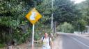 DSC04941_Koala-550