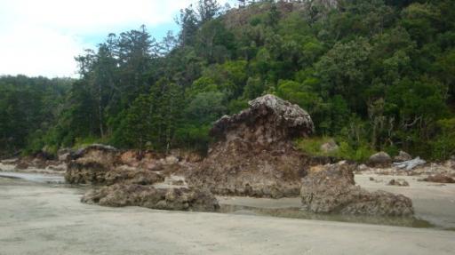 DSC04965_Cape Hillsborough-550
