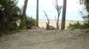 DSC04974_Cape Hillsborough-550