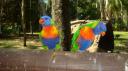 DSC05018_Zoo Rockhampton-550