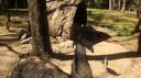DSC05019_Zoo Rockhampton-550