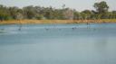 DSC05025_Zoo Rockhampton-550