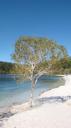 DSC05087_Lake McKenzie-550