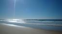 DSC05146_Fraser-550