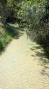 DSC05200_Creek-550