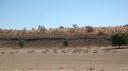 DSC06213_Kgalagadi-550