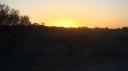 DSC06275_Kgalagadi-550