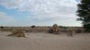 DSC06301_Kgalagadi-550