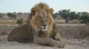 DSC06303_Kgalagadi-550