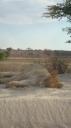 DSC06315_Kgalagadi-550