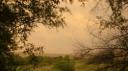 DSC06321_Zandstorm-550