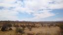 DSC06335-550