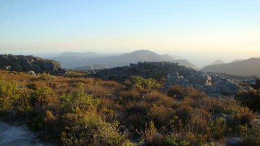 DSC06362_Tafelberg-550