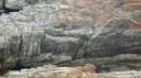 DSC06438-550