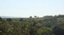 DSC06444_Olifanten-550