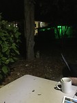 IMG_0054