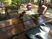 IMG_0098