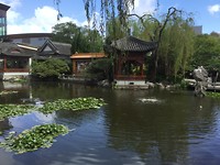 IMG_0503