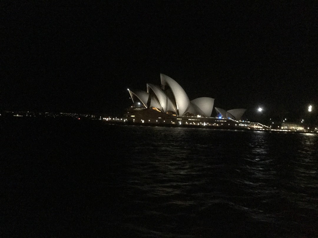IMG_0516