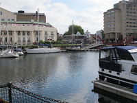 Courlis in St Katherine Docks