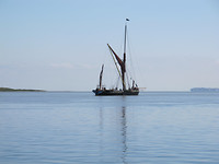 IMG_6000