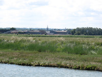 Faversham creek
