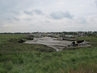 Rafelrand, Maldon