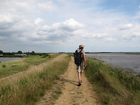 Wandelaar