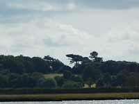 De Deben