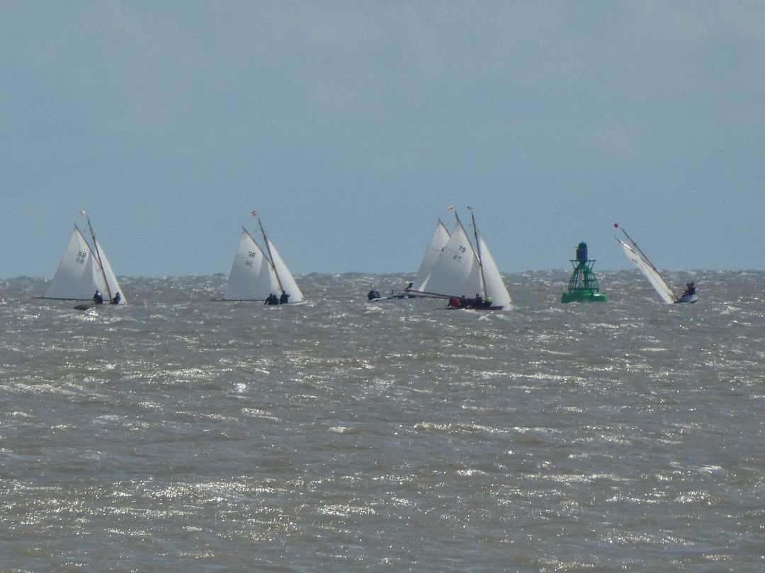 Regatta voor de kust