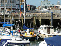 Courlis in de haven van de RN&SYC