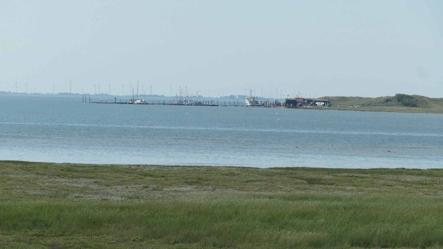Wangeroog haven