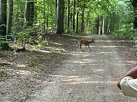 nog een wandelaar